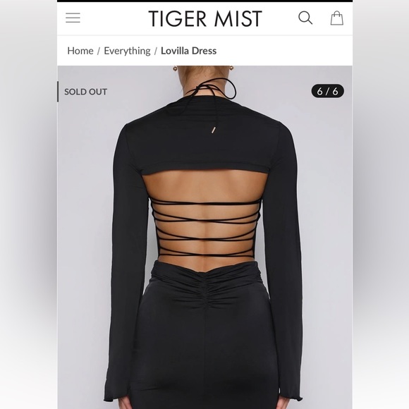 Tiger Mist Lovilla dress size small NWT NBW - Picture 2 of 5